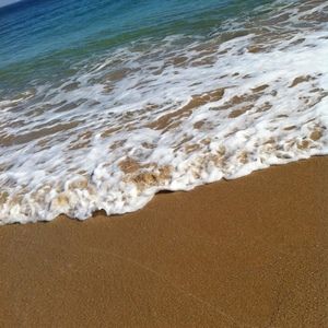 Meet your Posher, Ann